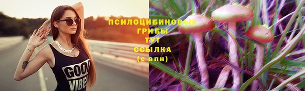 амф Беломорск