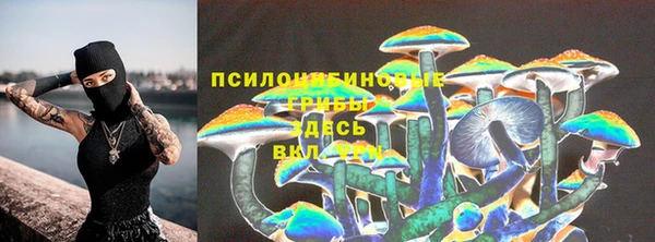 амф Беломорск