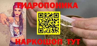 mdpv Вышний Волочёк