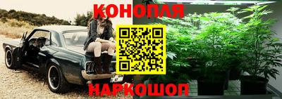 mdpv Вышний Волочёк