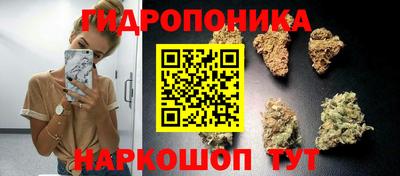 мдпв Вязьма